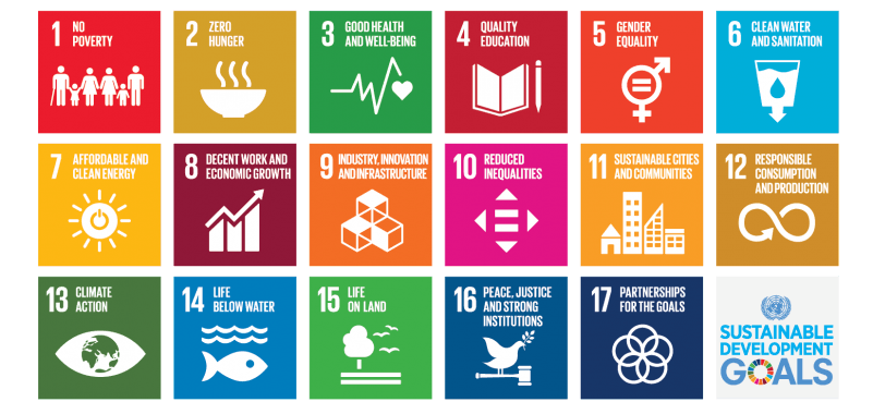 Sustainable Development Goals Table