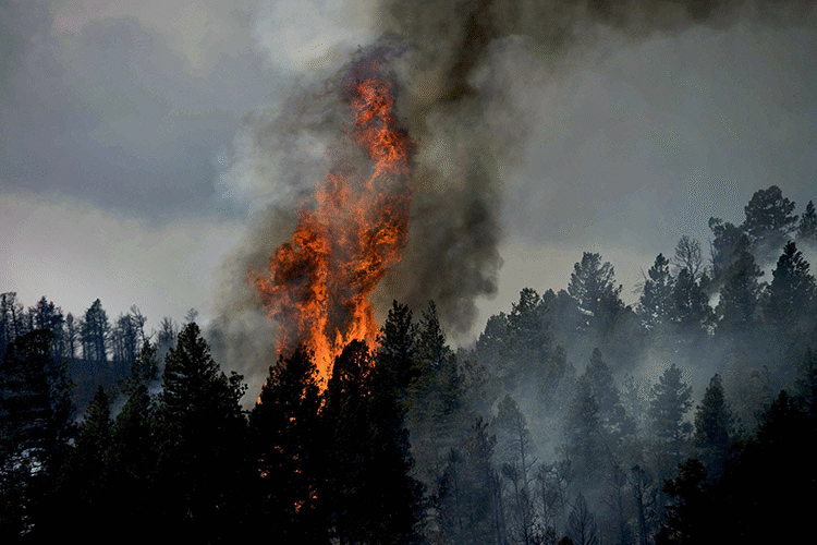 forest fires in Finland
