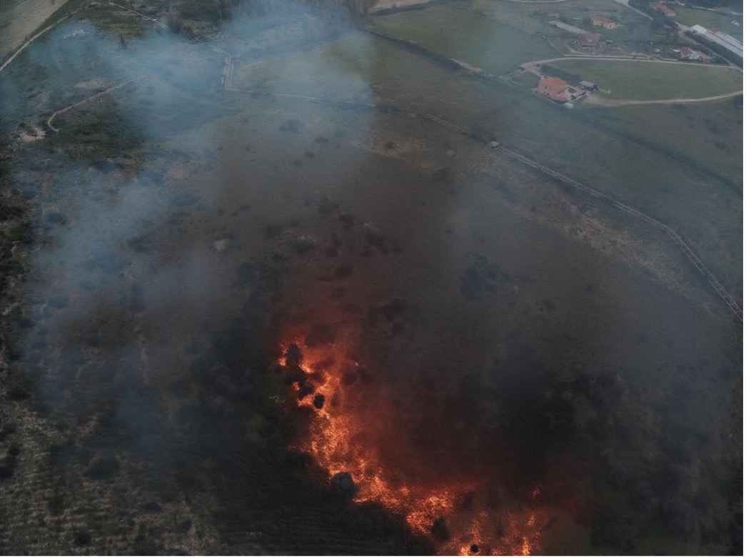 Figure 4 - Example 2. Original image by Francesco Loi / Regione Autonoma della Sardegna, modified with AI-based augmentation by Bull
