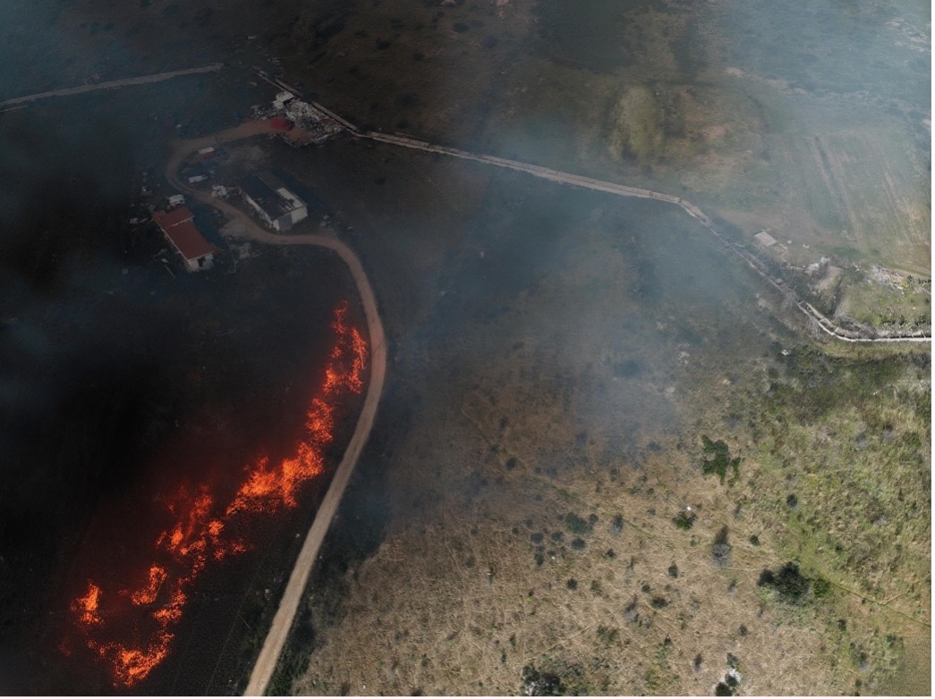 Figure 2 - Example 1. Original image by Francesco Loi / Regione Autonoma della Sardegna, modified with AI-based augmentation by Bull 