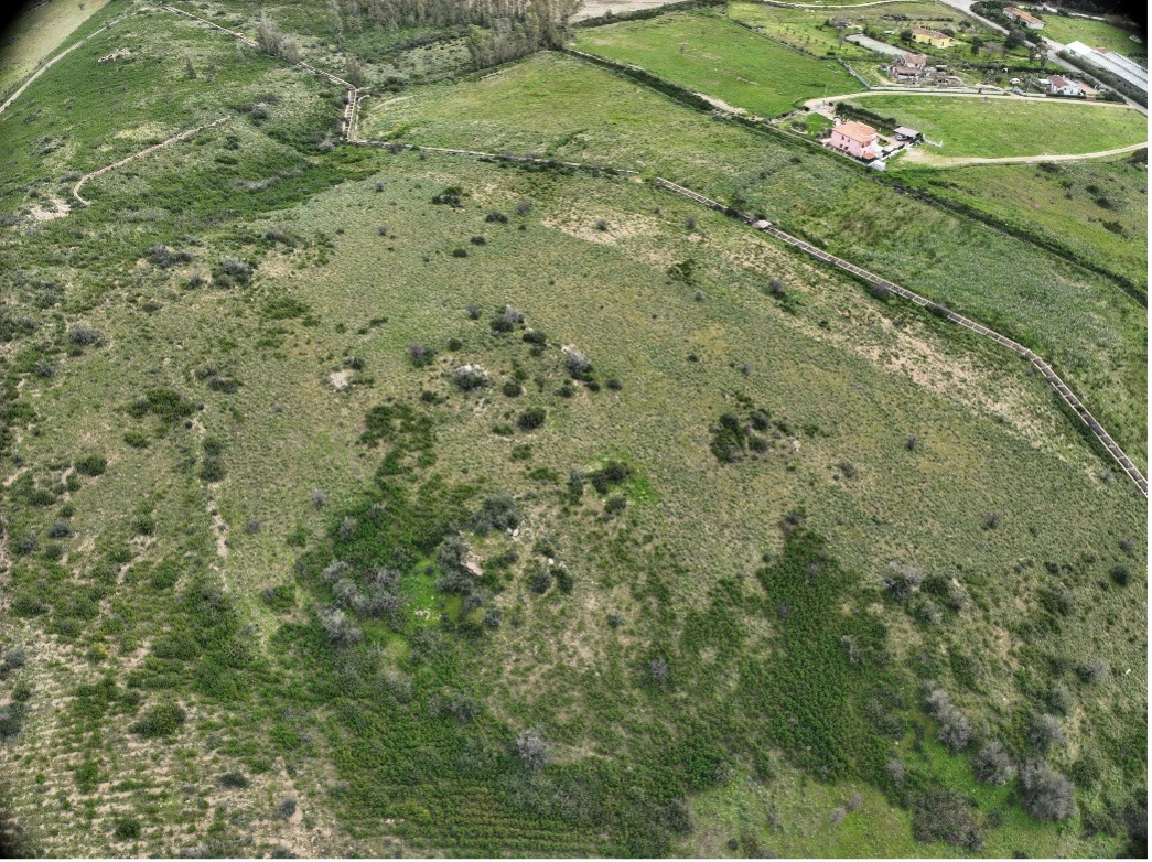 Figure 3 - Example 2. Original image by Francesco Loi / Regione Autonoma della Sardegna
