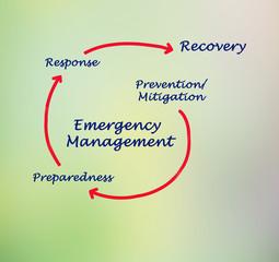 Disaster (Emergency) Management Cycle