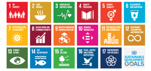 Sustainable Development Goals Table