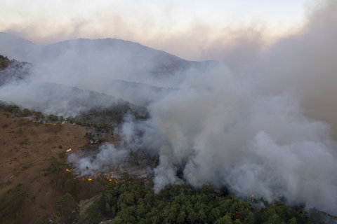 Mass Collection of Data on Greece’s Recent Natural Disasters to Train Artificial Intelligence (AI) Tools and Advance Science in the Field of Natural Disaster Management (NDM)