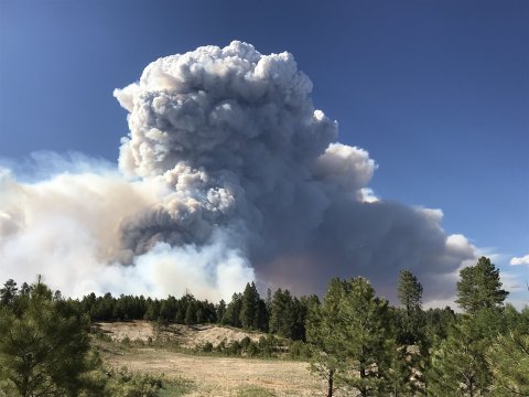 "Smoke" – © Kaibab National Forest, 2020, CC BY 2.0