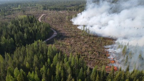 Prescribed burn 27.05.2024 ©KAHY