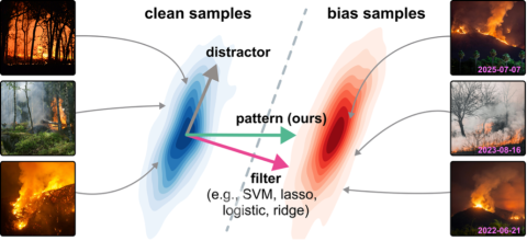 Figure 1: CAVs are used to represent concepts, such as biases (e.g., a timestamp in fire classification tasks), in the latent space of DNNs.