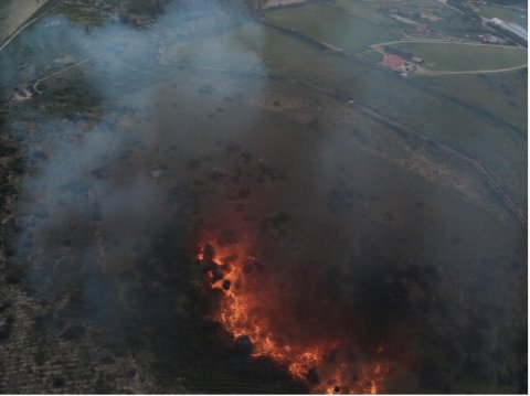 Figure 4 - Example 2. Original image by Francesco Loi / Regione Autonoma della Sardegna, modified with AI-based augmentation by Bull